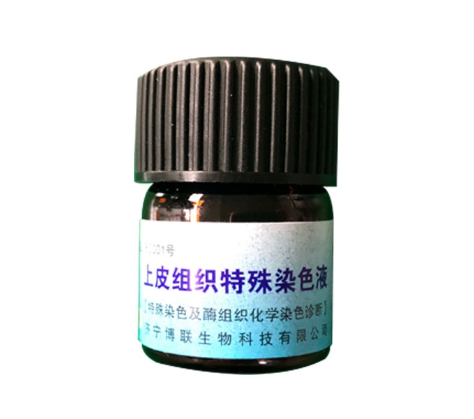 上皮組織染色液